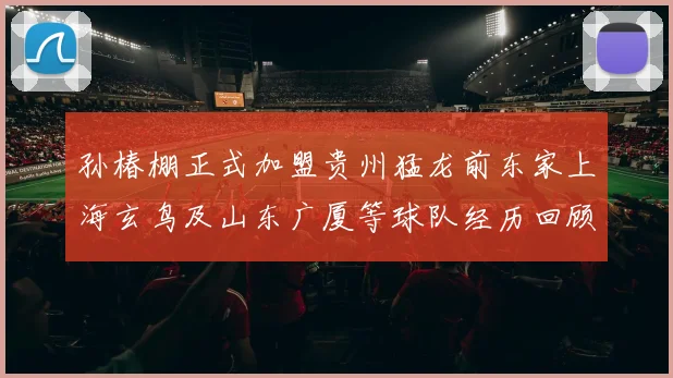 孙椿棚正式加盟贵州猛龙前东家上海玄鸟及山东广厦等球队经历回顾